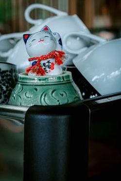 phản hồi Sodo